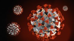 Covid-19_Virus_img Covid-19_Virus_img