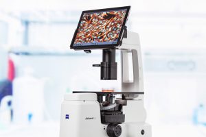 zeiss-axiovert-5 zeiss-axiovert-5